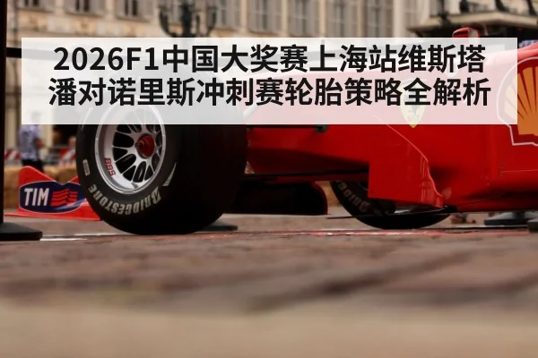 2026F1中国大奖赛上海站维斯塔潘对诺里斯冲刺赛轮胎策略全解析