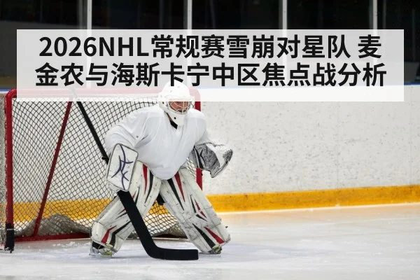 ice hockey defenseman blocking